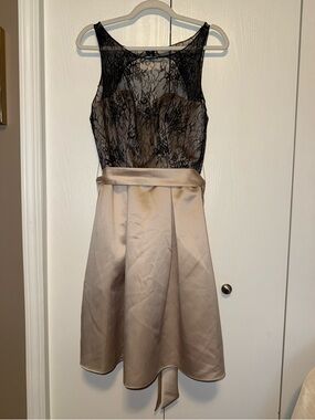 Sorella Vita Black Lace Illusion And Champagne Cocktail Dress